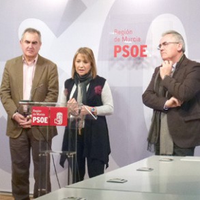 El PSOE pide a Rosell que cuide sus declaraciones y no minimice el ...