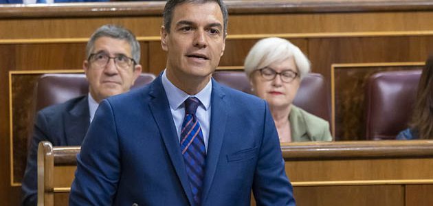 Pedro Sánchez Concluye La Semana Que Viene Las Reuniones Con Los Grupos ...